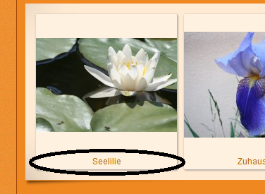 Phoca Mudulhintergrund Beschriftung
